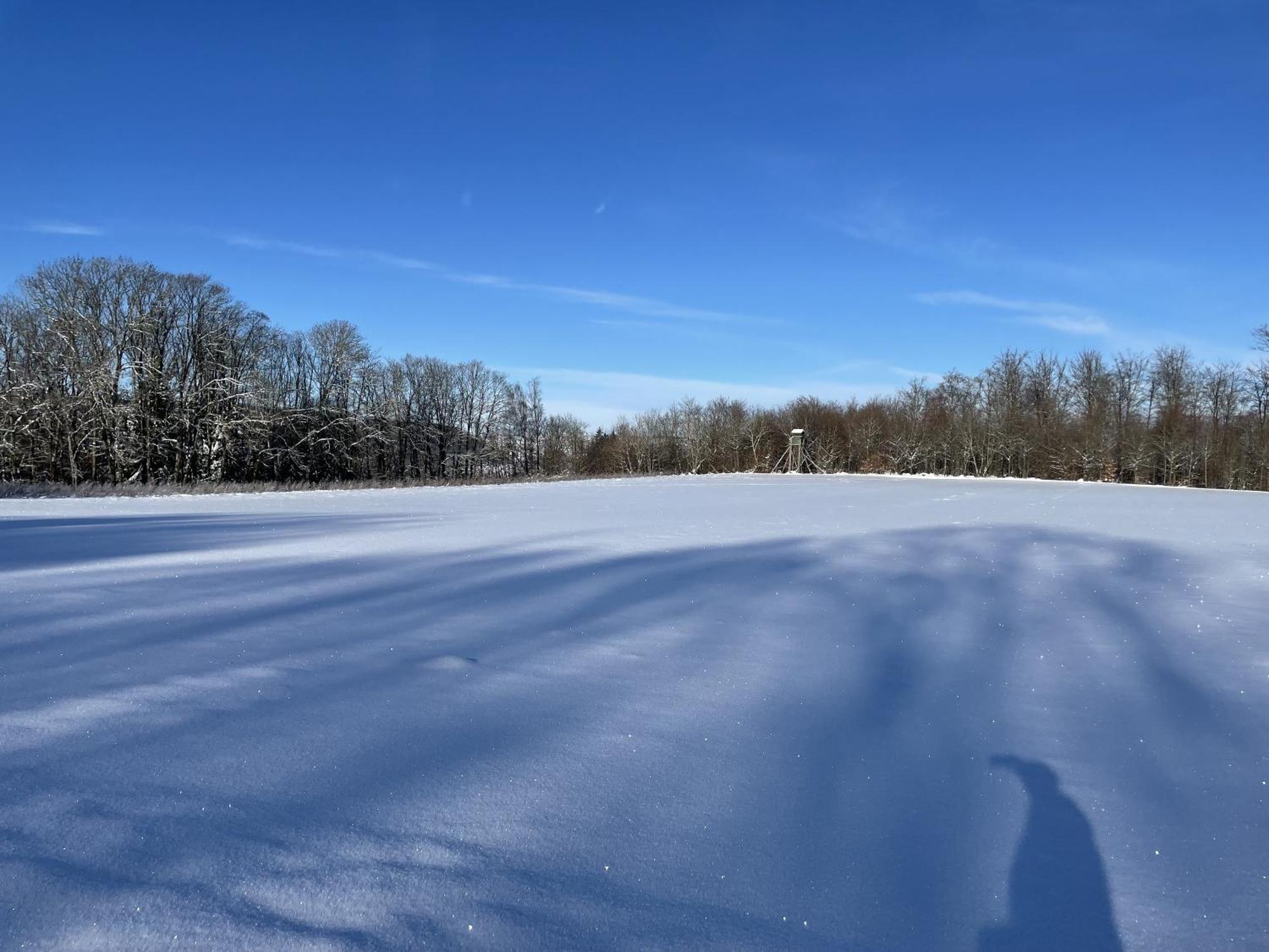 Gittas Paradiesperle Niederdreisbach Kültér fotó