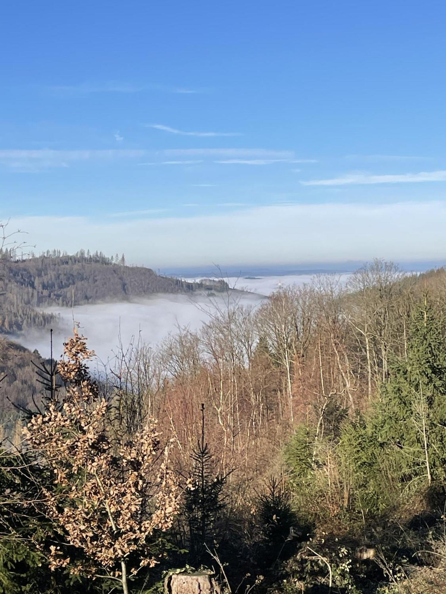 Gittas Paradiesperle Niederdreisbach Kültér fotó