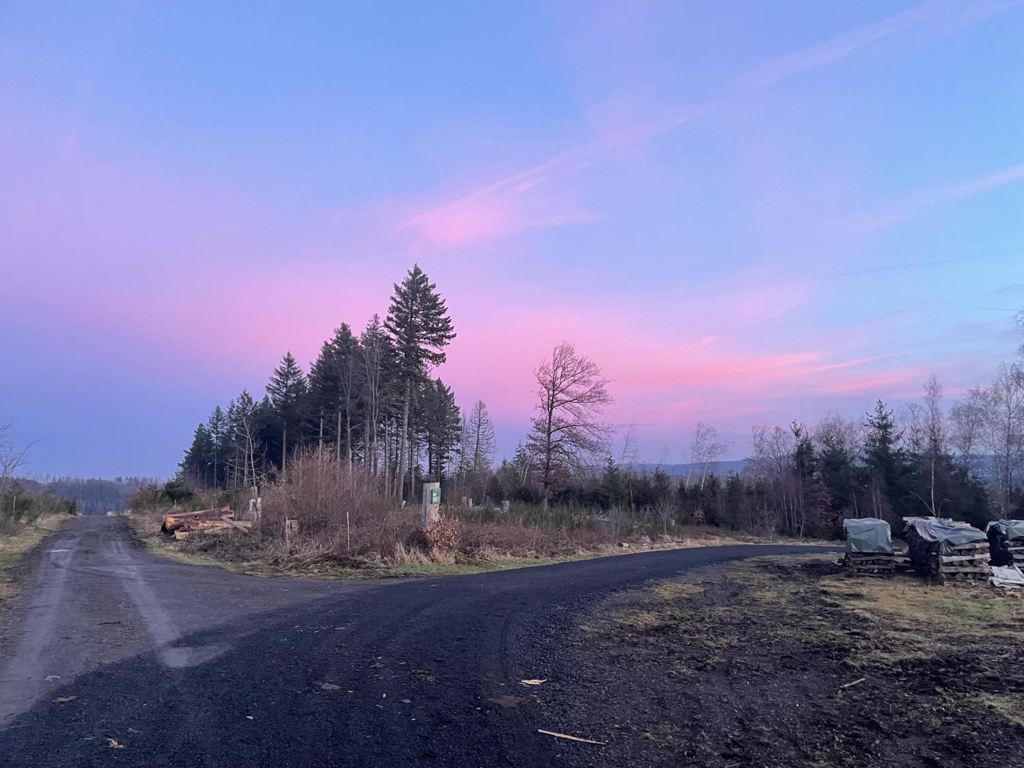 Gittas Paradiesperle Niederdreisbach Kültér fotó