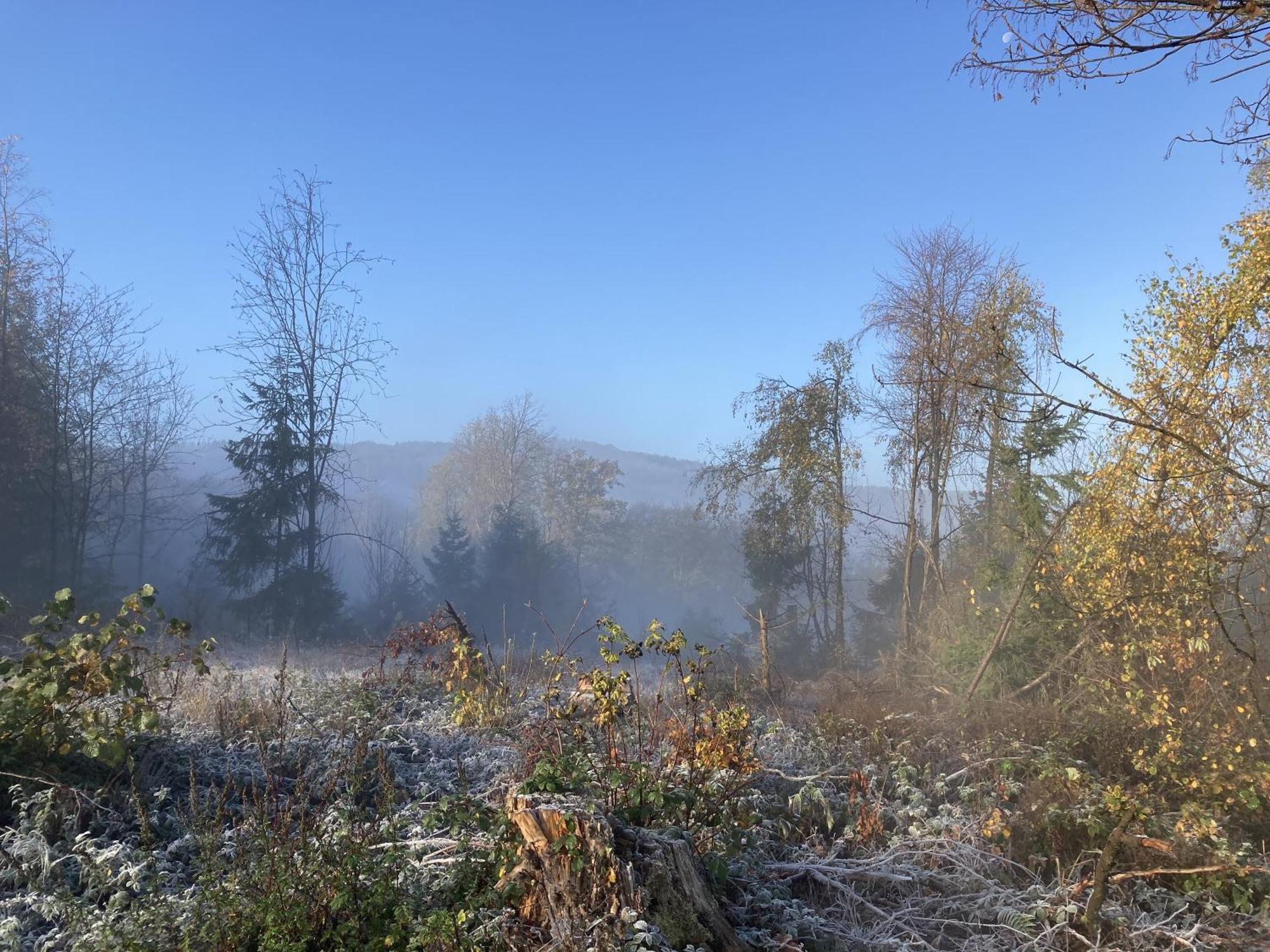 Gittas Paradiesperle Niederdreisbach Kültér fotó