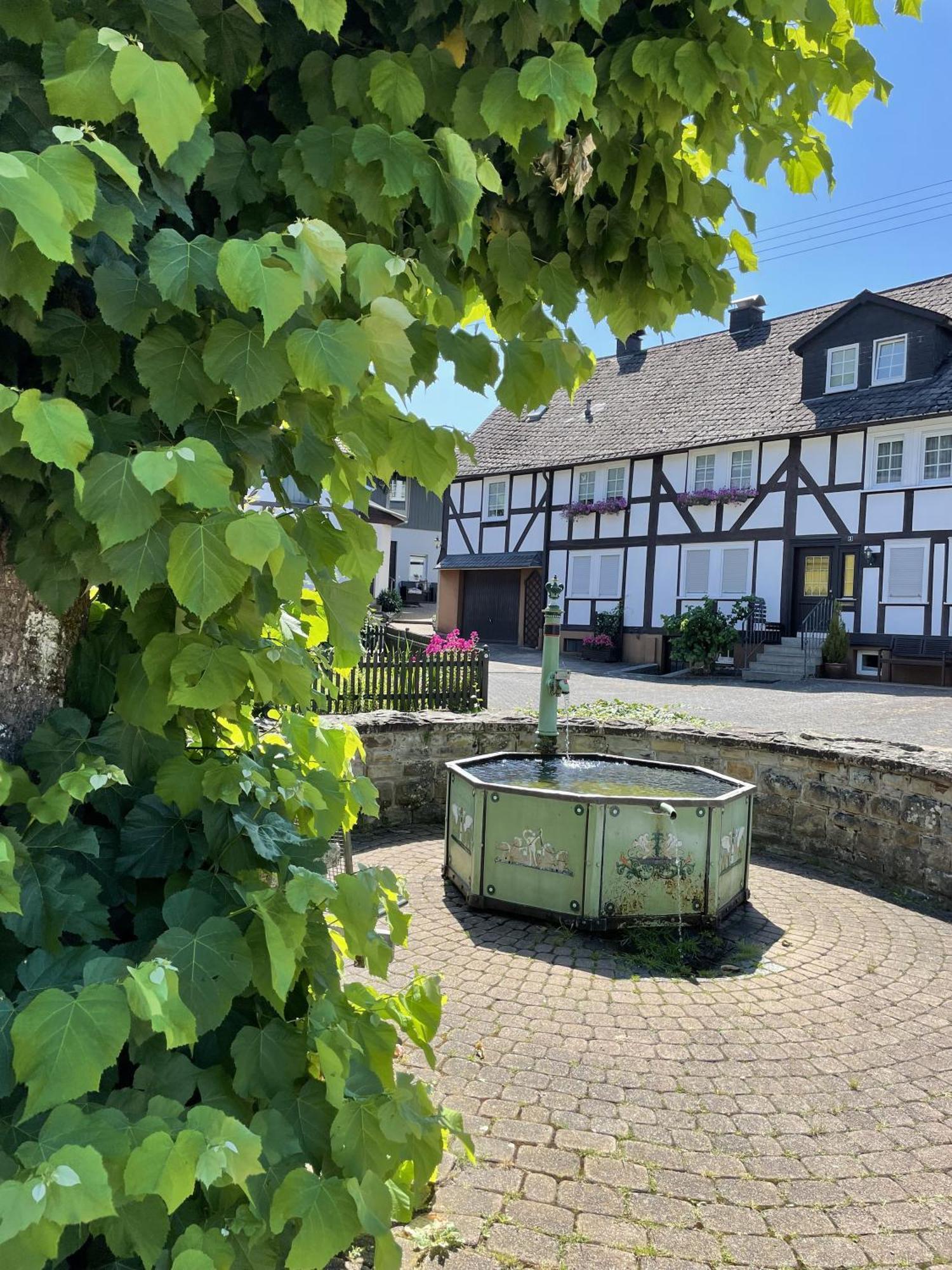 Gittas Paradiesperle Niederdreisbach Kültér fotó