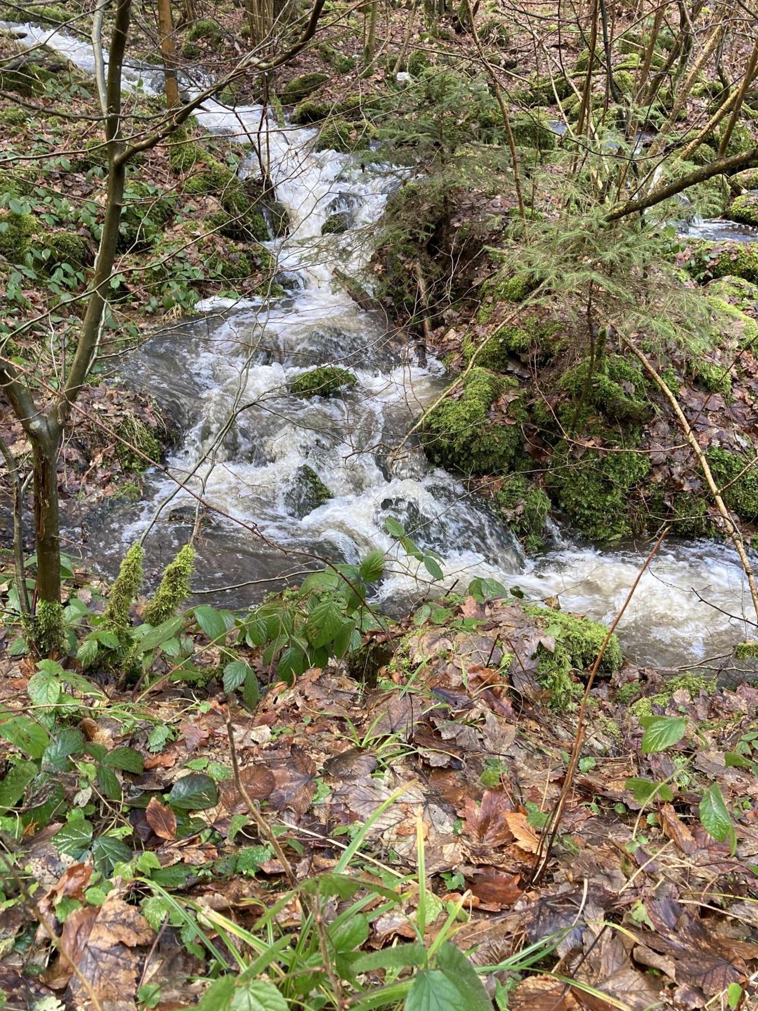 Gittas Paradiesperle Niederdreisbach Kültér fotó