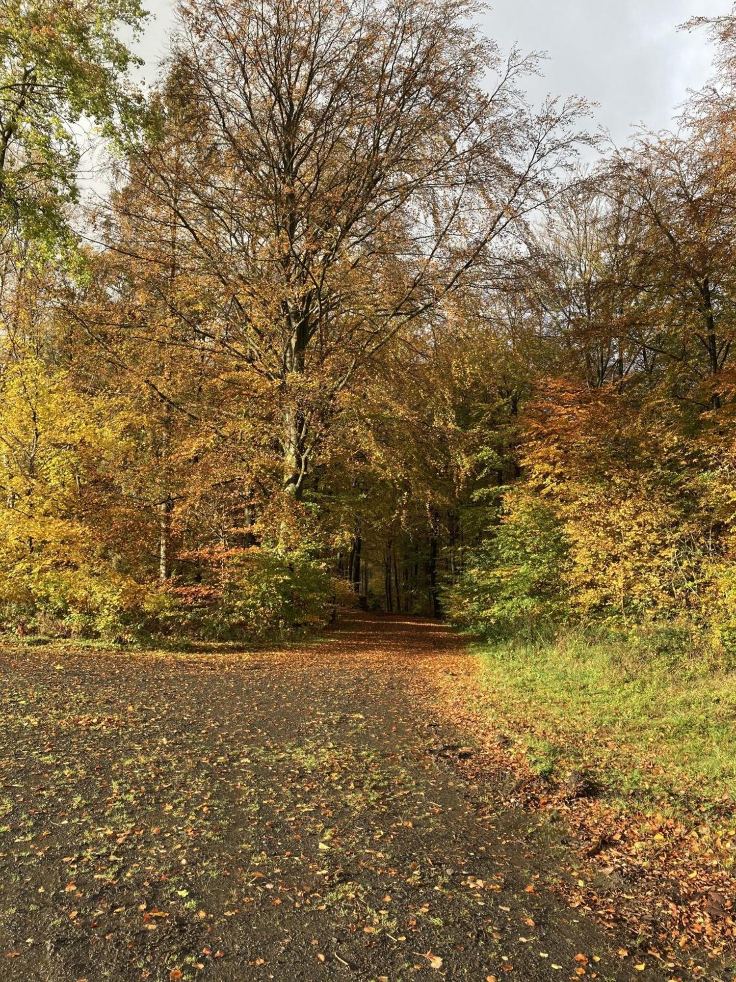 Gittas Paradiesperle Niederdreisbach Kültér fotó